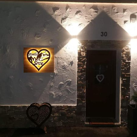 Studio Srce Kranjska Gora Kültér fotó